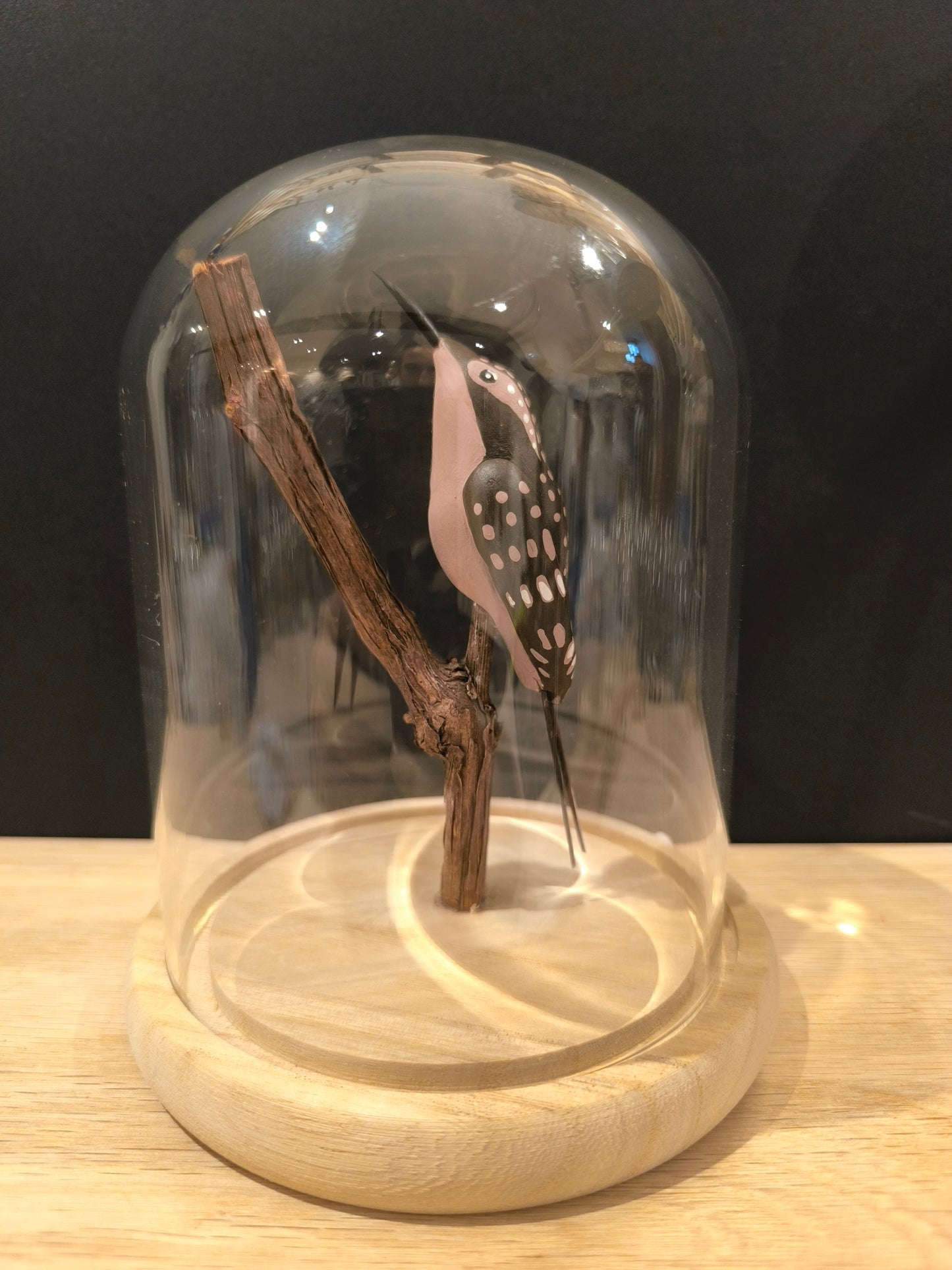 Figurine oiseau sculptée Grimpereau des jardin sous cloche de verre décorative.